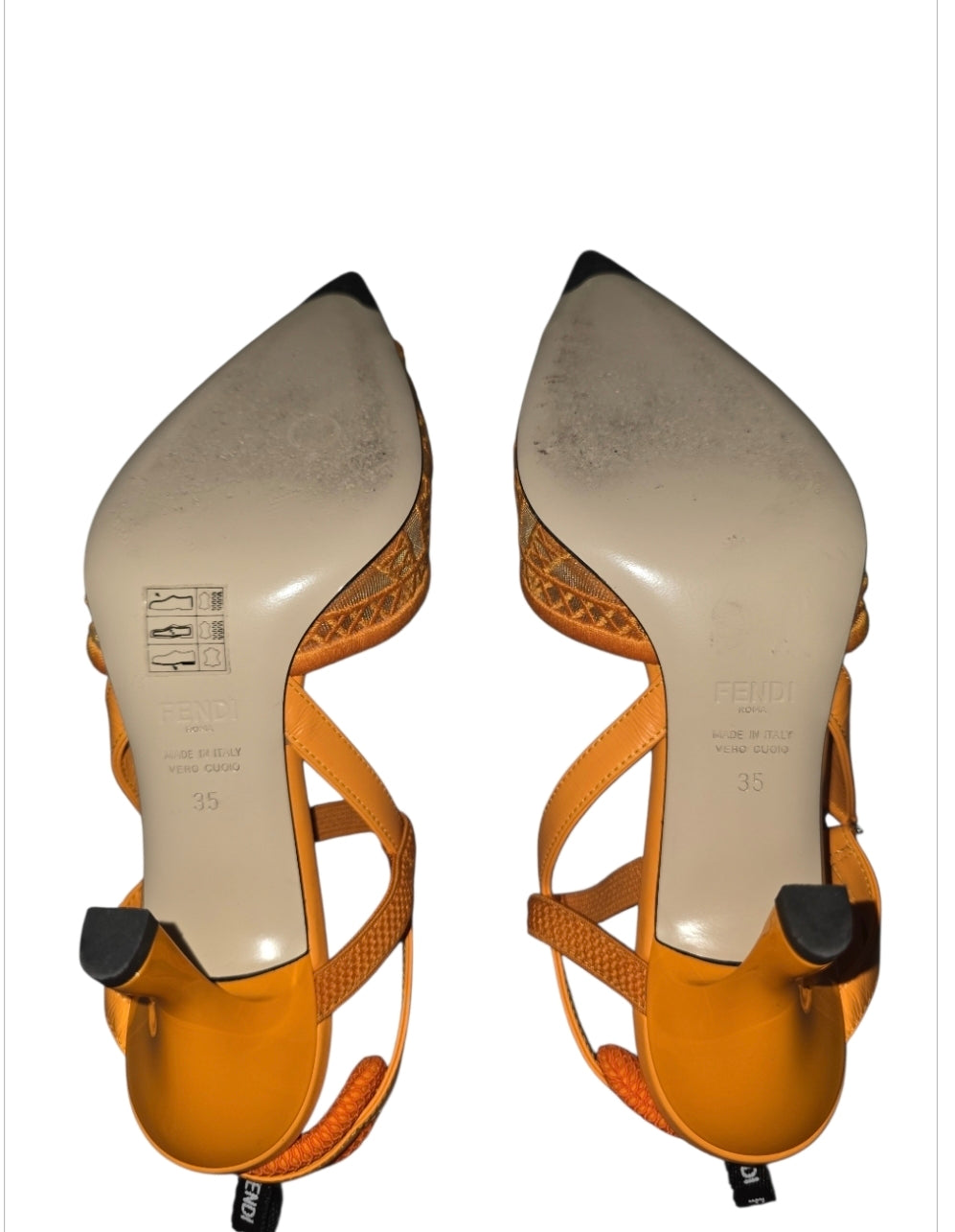 Fendi Colibri Slingbagck Pumps